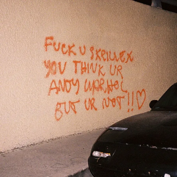 Pochette de F*CK U SKRILLEX YOU THINK UR ANDY WARHOL BUT UR NOT!! <3