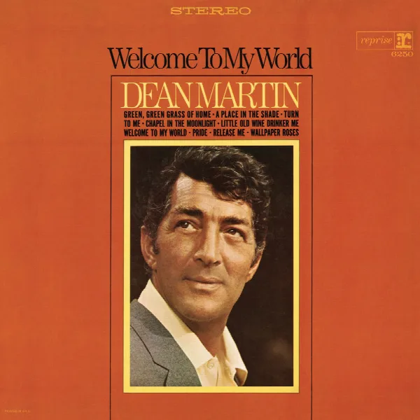 Pochette de Welcome to My World