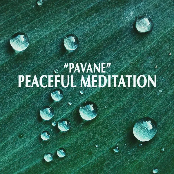 Pochette de "Pavane" - Peaceful Meditation