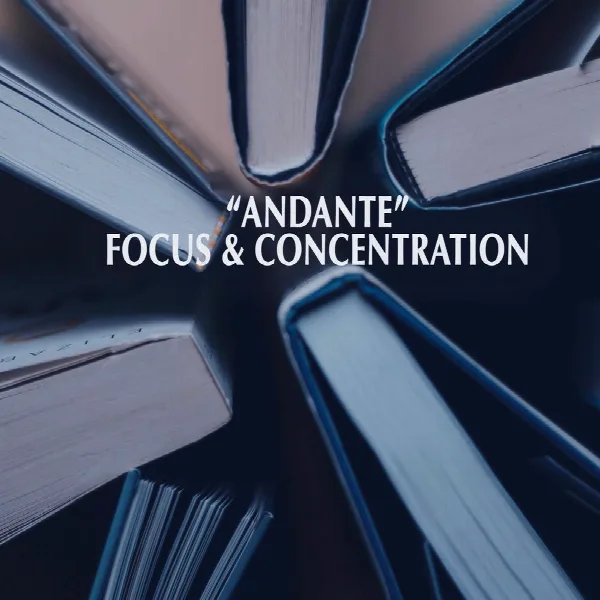 Pochette de "Andante" - Focus & Concentration