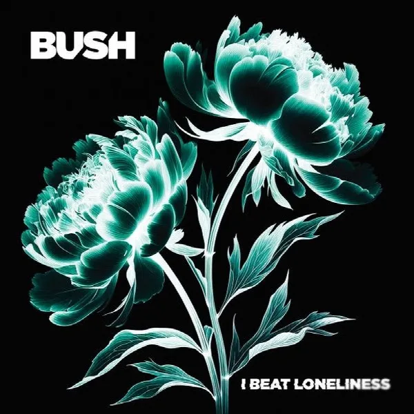 Pochette de I Beat Loneliness