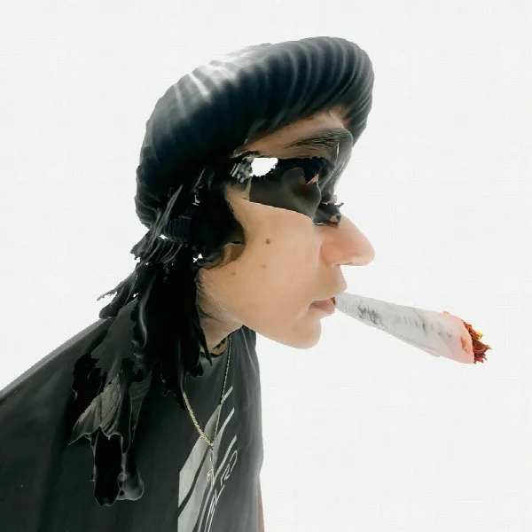 Pochette de Stoner