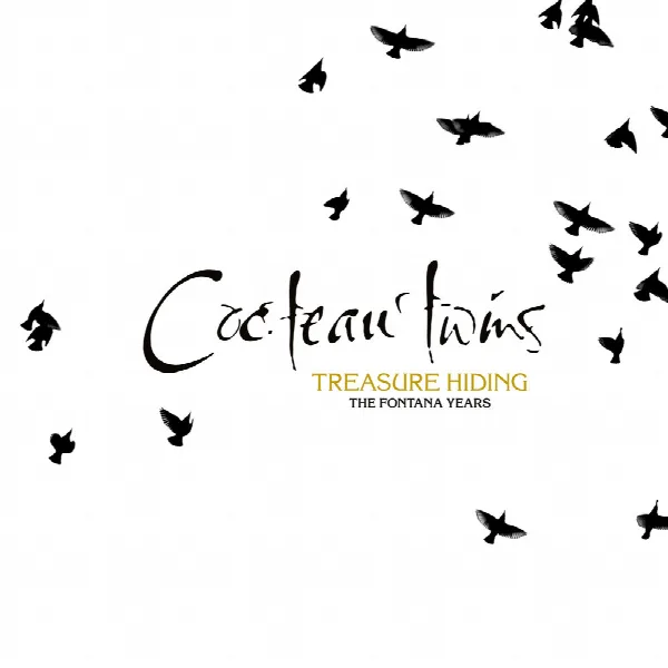 Pochette de Treasure Hiding: The Fontana Years