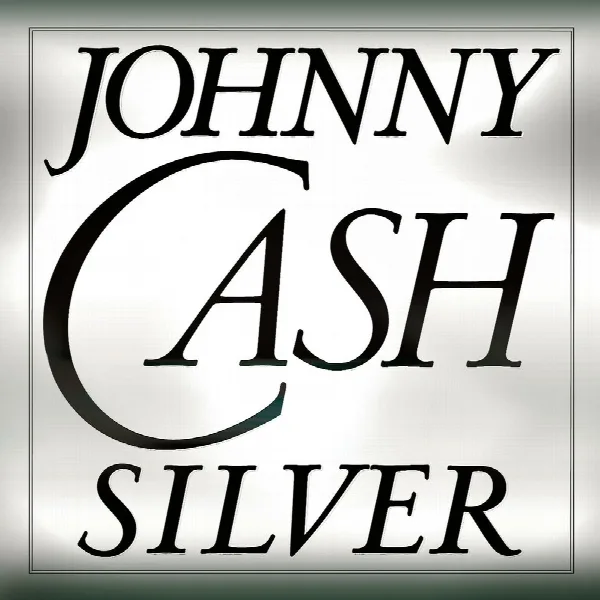 Pochette de Silver