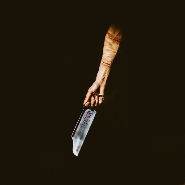 Pochette de N / O / I / S / E