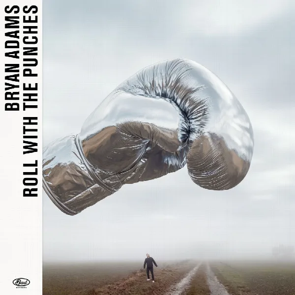 Pochette de Roll With The Punches