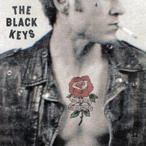 Pochette de No Rain, No Flowers