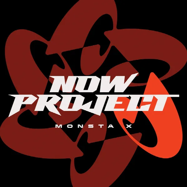 Pochette de NOW PROJECT vol.1