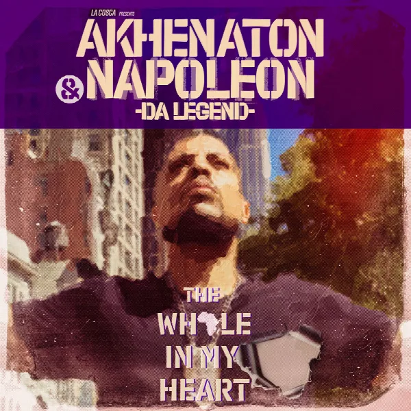 Pochette de The Whole in My Heart