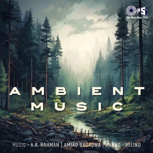 Pochette de Ambient Music
