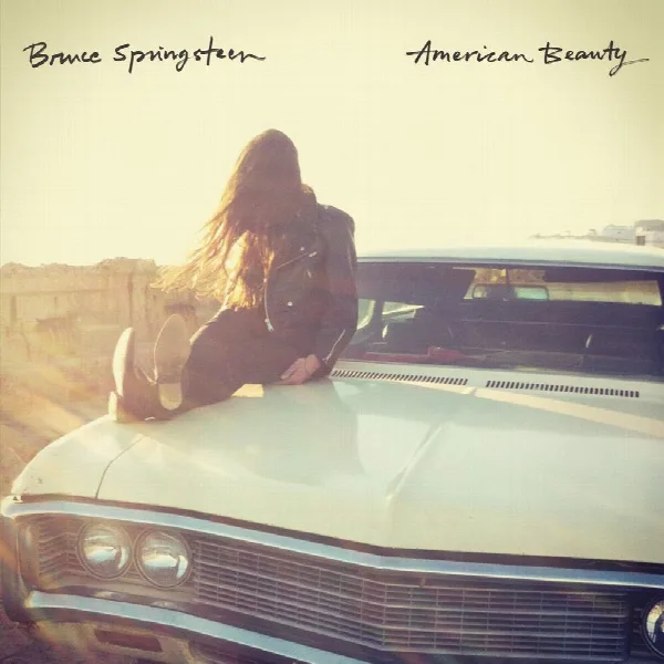 Pochette de American Beauty