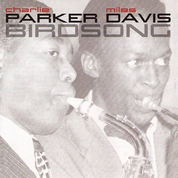 Pochette de Birdsong