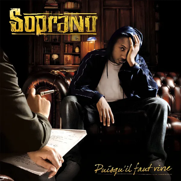 Pochette de Puisqu'il faut vivre (Deluxe Edition)