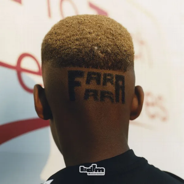 Pochette de FARA FARA GANG