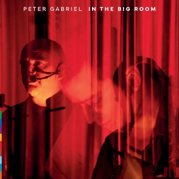 Pochette de In The Big Room