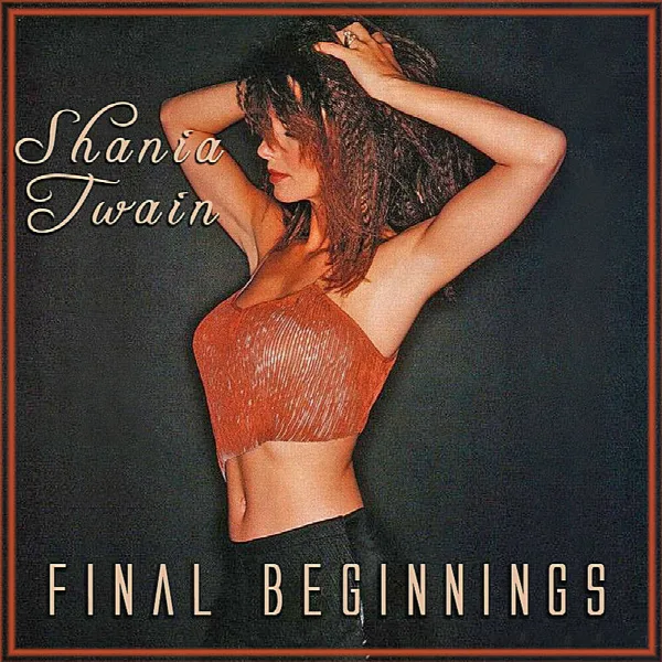Pochette de Final Beginnings