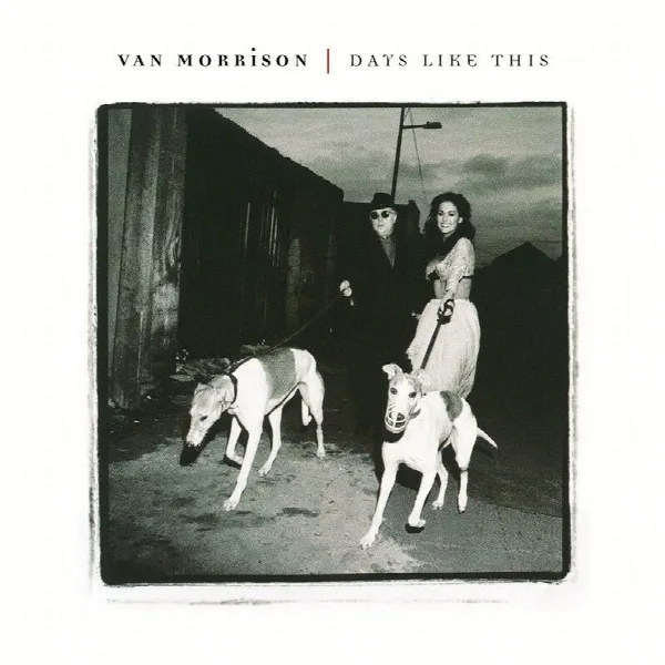 Pochette de Days Like This