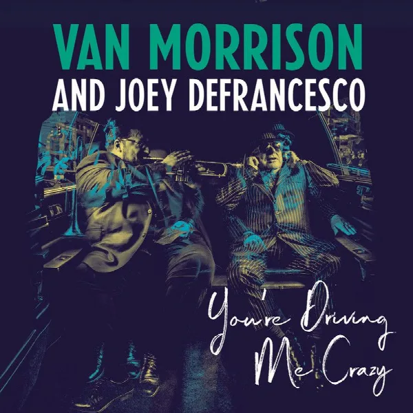 Pochette de You're Driving Me Crazy