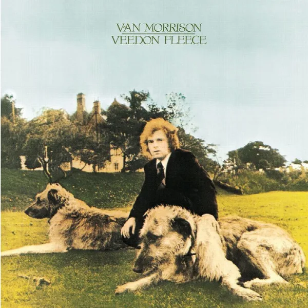 Pochette de Veedon Fleece (Bonus Track Version)