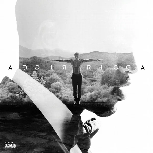Pochette de Trigga (Deluxe)