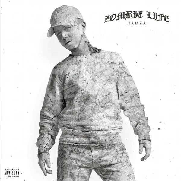 Pochette de Zombie Life