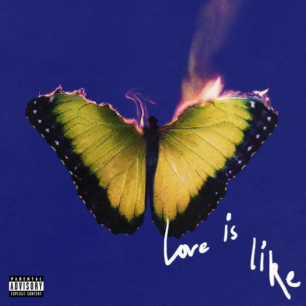 Pochette de Love Is Like
