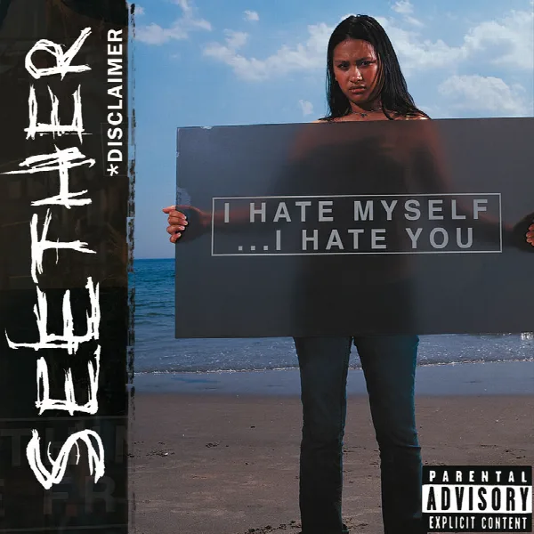 Pochette de Disclaimer