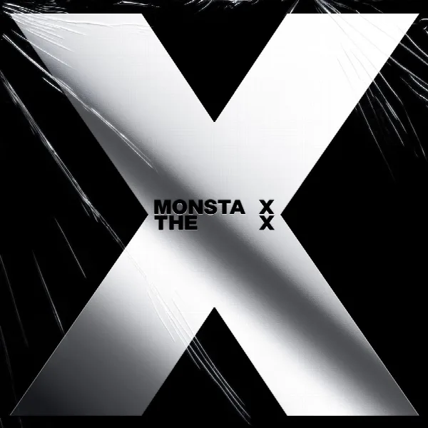 Pochette de THE X