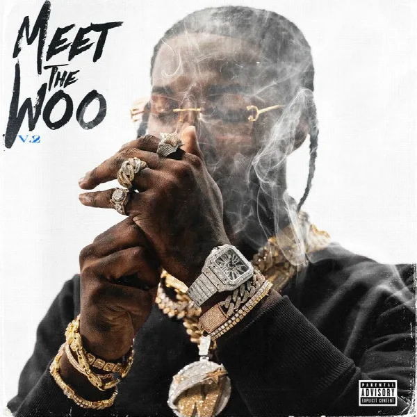 Pochette de Meet The Woo 2