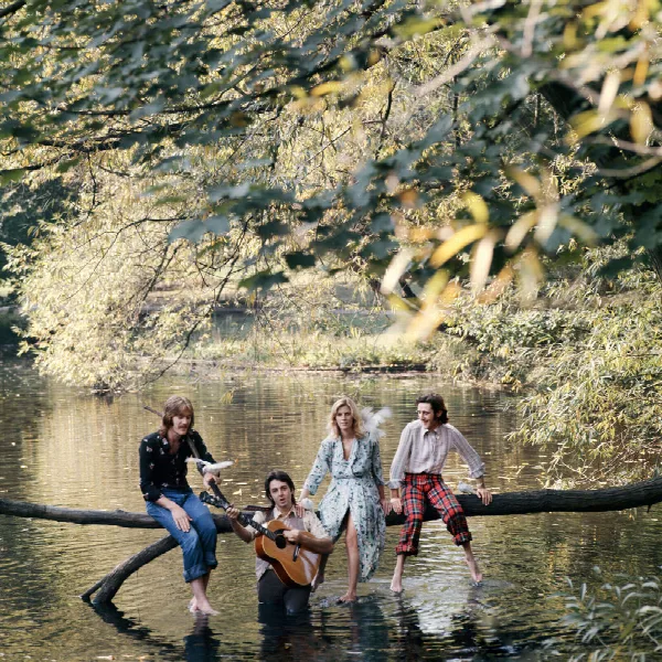 Pochette de Wild Life