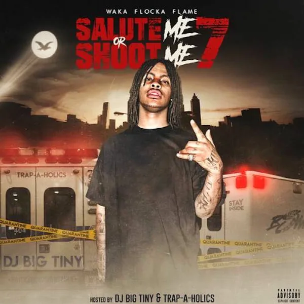 Pochette de Salute Me or Shoot Me 7
