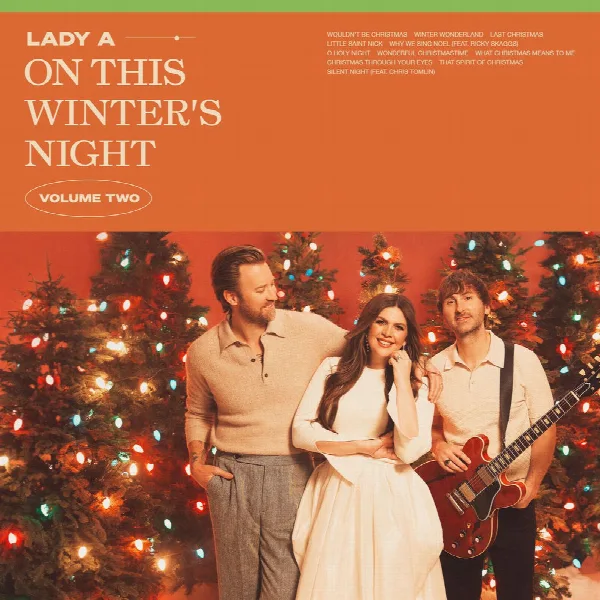 Pochette de On This Winter's Night (Volume 2)