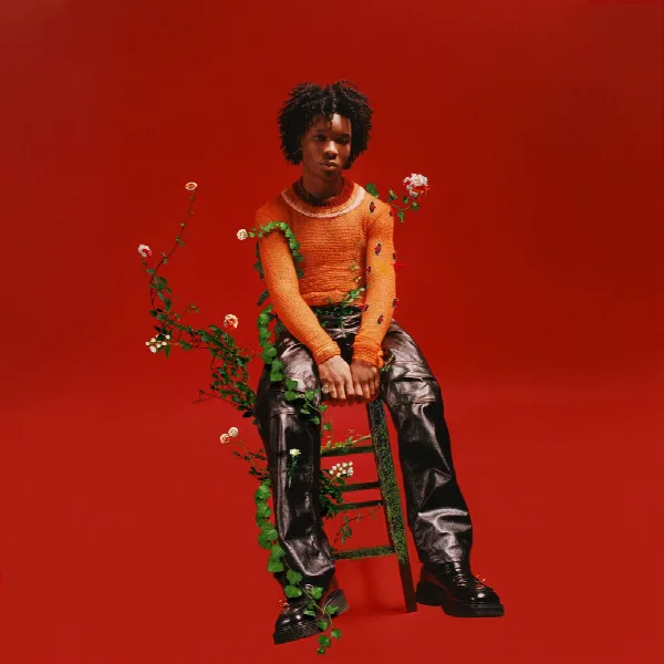 Pochette de Petals to Thorns
