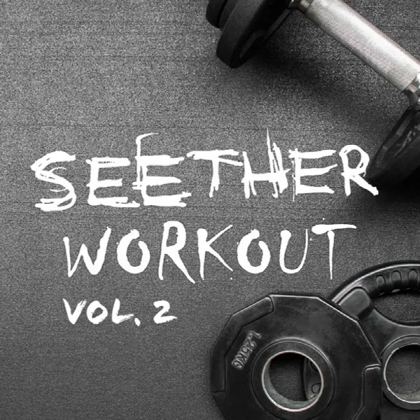 Pochette de Seether Workout Vol. 2