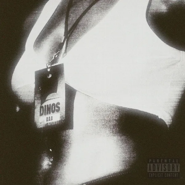 Pochette de AAA