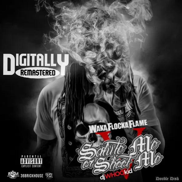 Pochette de Salute Me or Shoot Me 5