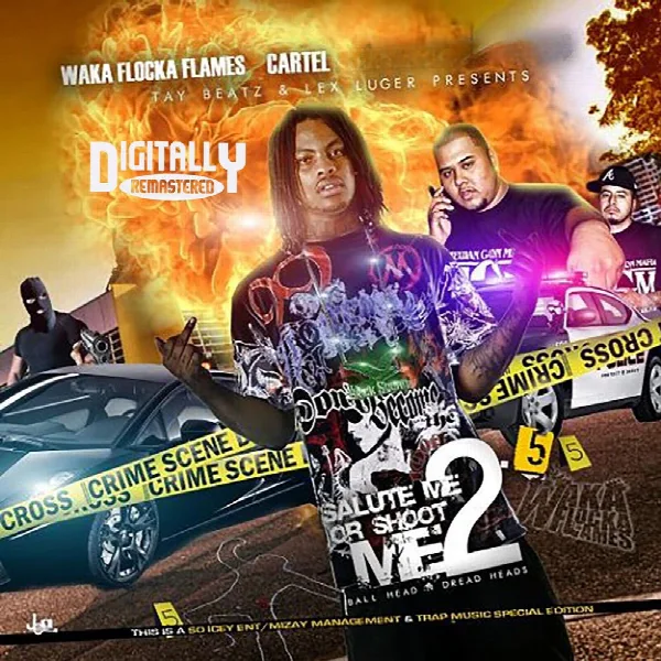 Pochette de Salute Me or Shoot Me 2.5