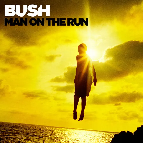 Pochette de Man on the Run (Deluxe Version)