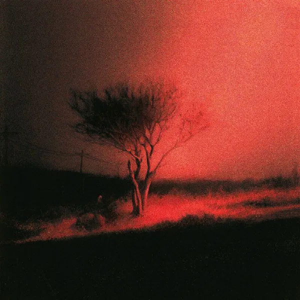 Pochette de Piss In The Wind