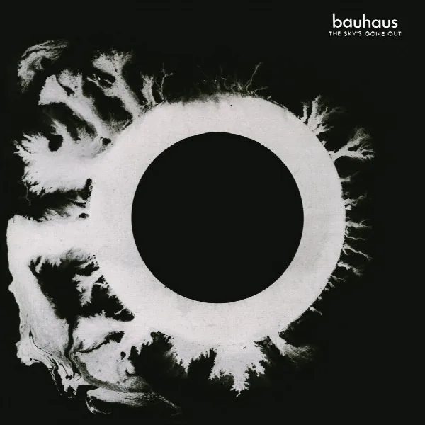Pochette de The Sky's Gone Out