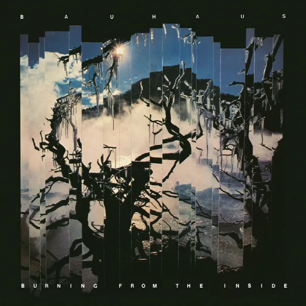 Pochette de Burning from the Inside