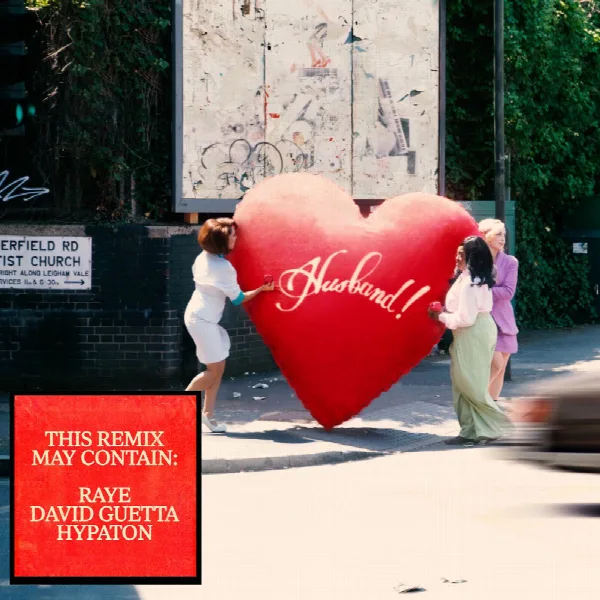 Pochette de WHERE IS MY HUSBAND! (Remix)