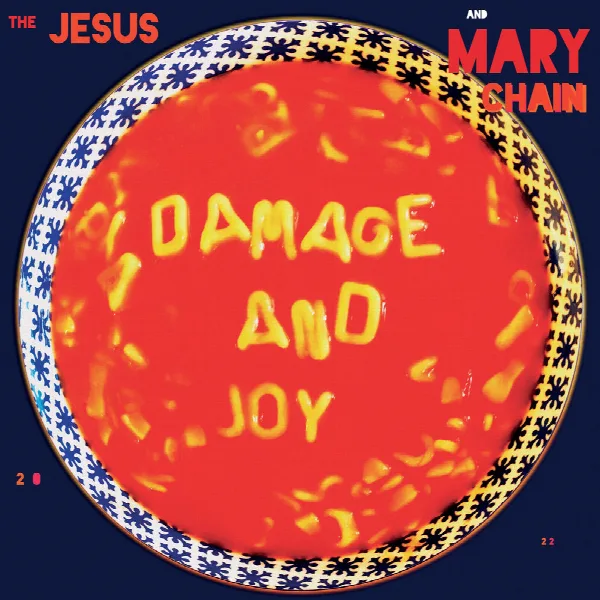 Pochette de Damage and Joy (Deluxe)