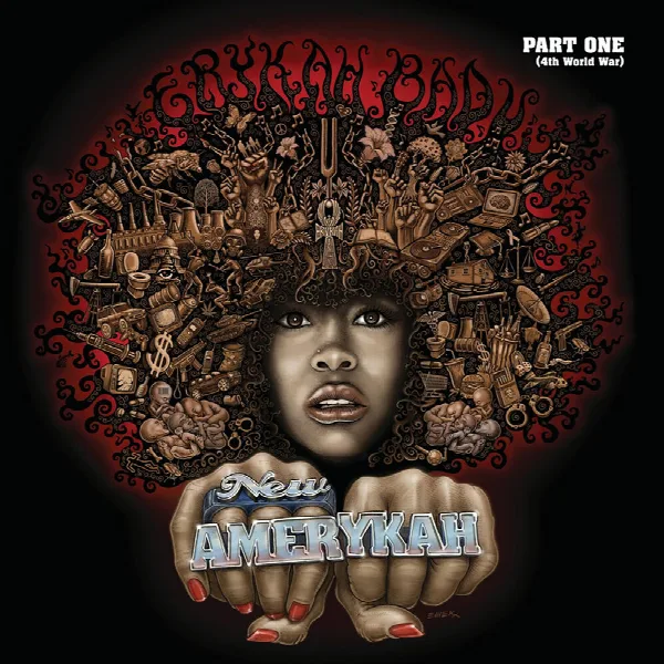 Pochette de New Amerykah Part One (4th World War)