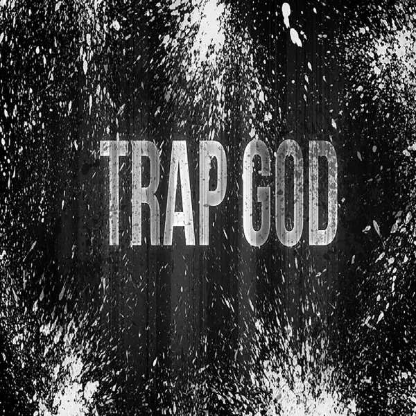Pochette de Diary of a Trap God