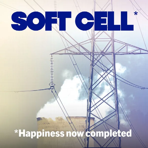 Pochette de *Happiness Now Completed