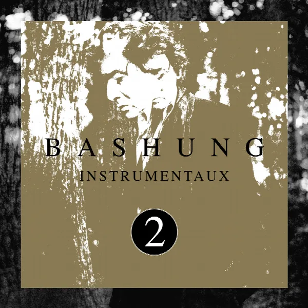 Pochette de Instrumentaux 2