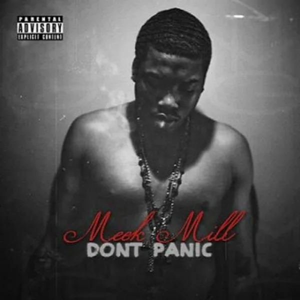 Pochette de Dont Panic