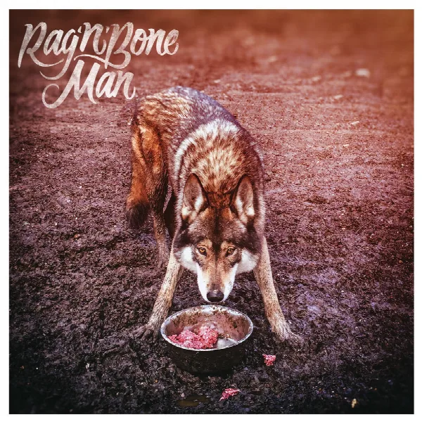 Pochette de Wolves