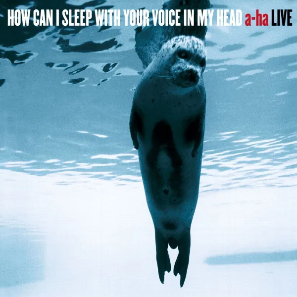 Pochette de How Can I Sleep with Your Voice in My Head